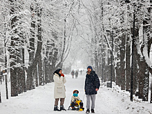 Синоптики пообещали москвичам на Новый год зимнюю сказку