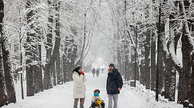Синоптики пообещали москвичам на Новый год зимнюю сказку