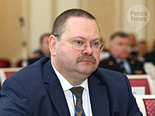 Годовой доход сенатора Олега Мельниченко составил почти 5 млн. рублей