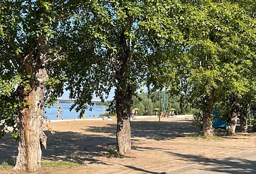 Для благоустройства Куйбышевского пляжа в Омске снова вырубят деревья