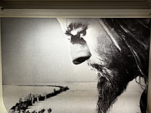 Путешествие во времени или арт настоящего: «Ночь искусств» в столице