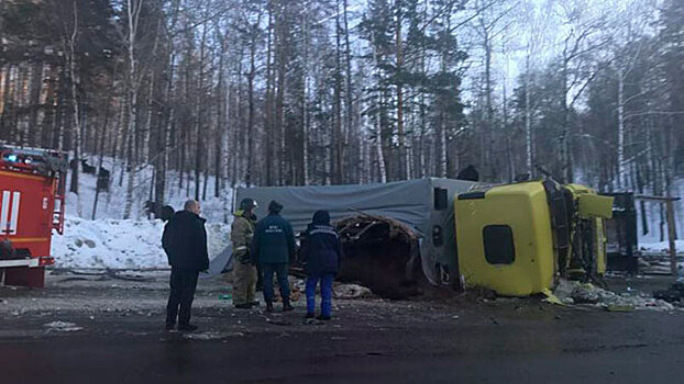 Под Иркутском перевернулся грузовик с 30 лошадьми