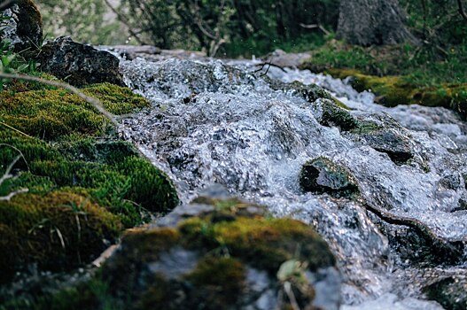 Роспотребнадзор предупредил об опасности питья родниковой воды весной