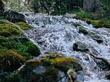 Роспотребнадзор предупредил об опасности питья родниковой воды весной
