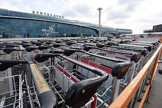 Аукцион по продаже аэропорта Домодедово не состоялся