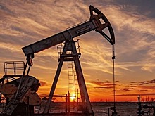 ОПЕК: 1,66 млн баррелей в сутки составит добровольное сокращение добычи нефти