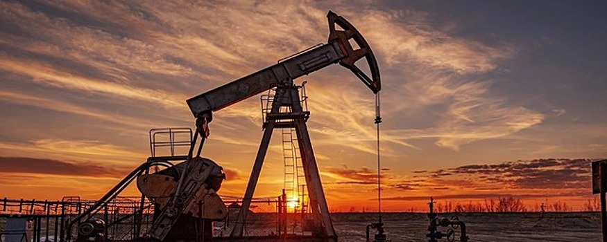 ОПЕК: 1,66 млн баррелей в сутки составит добровольное сокращение добычи нефти