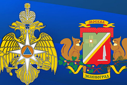 В Зеленограде прошло заседание комиссии по предупреждению и ликвидации чрезвычайных ситуаций и обеспечению пожарной безопасности