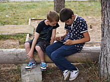 Летние лагеря станут платными?