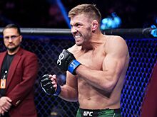 Биспинг: дю Плесси побил бы Адесанью на UFC 293
