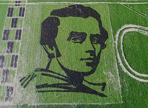 Гигантское зеленое лицо Шевченко проявилось на поле в Херсонской области