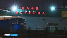 В Воронеже женщина ответит в суде за брошенного морозной ночью в машине 2-летнего сына