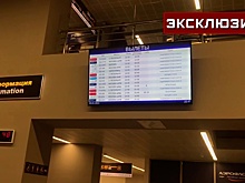 Экипаж рейса S7 остановил взлет самолета из Новосибирска в Москву