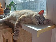 В Ижевске вновь включат отопление