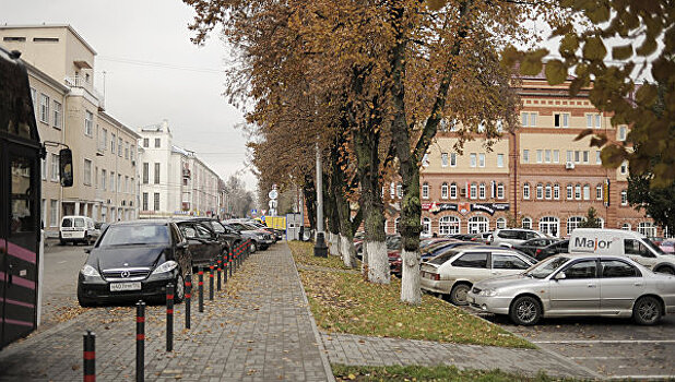 Сервис онлайн жалоб на парковку на газоне запустили в Москве