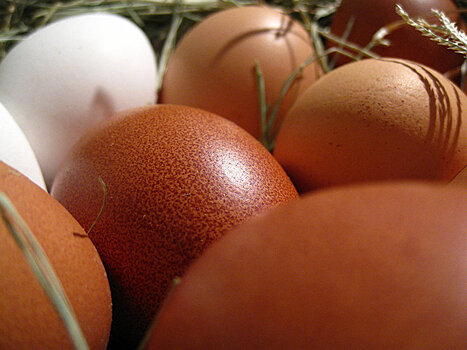 Эстония продала Латвии 140 кг яичной продукции с фипронилом