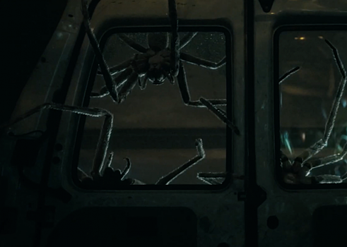 18 апреля в прокат выходит ужастик «Паутина страха»