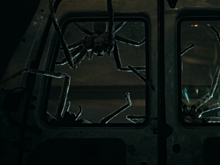 18 апреля в прокат выходит ужастик «Паутина страха»