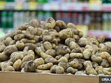 В Минсельхозе предупредили о дефиците картофеля в России