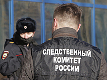 Напавшим на мужчину с ребенком в Новой Москве предъявили обвинения