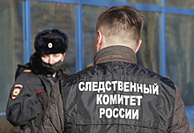 Напавшим на мужчину с ребенком в Новой Москве предъявили обвинения