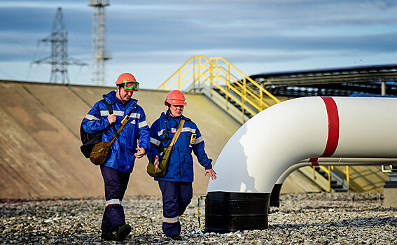 Поставки нефти в Венгрию из России приостановлены