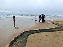 Попова: Пляжи в Анапе пока не готовы к открытию после разлива мазута