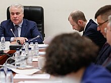 Комитет по энергетике обсудил вопросы формирования топливно-энергетических балансов России и регионов