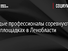 Молодые профессионалы соревнуются на 13 площадках в Ленобласти