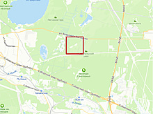 Wildberries нашел площадку под свои склады в Екатеринбурге