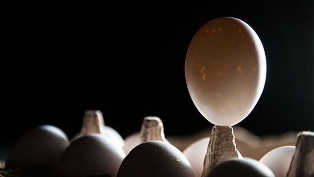 В Германии в миллионах яиц обнаружили яд