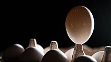 В Германии в миллионах яиц обнаружили яд