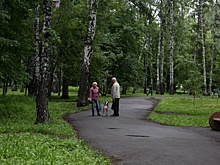 Жителей Новосибирска позвали обсудить будущее парка «Берёзовая роща»