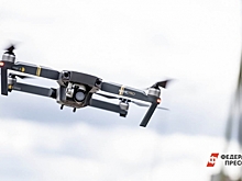 Полицейские два дня следили с дрона за свердловской парой: чем занимались влюбленные