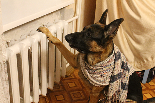 Из-за коммунальной аварии в Благовещенске без тепла остались почти 6 тысяч жителей