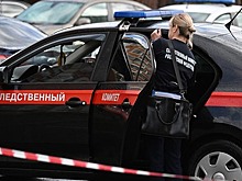 СК представил новый способ опознания преступников: Милого узнают по походке