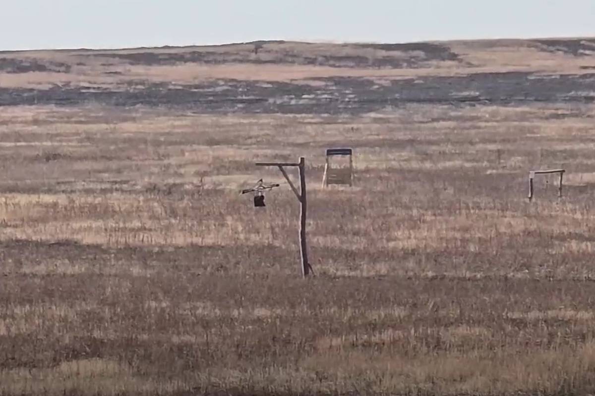 В России оценили эффективность плетки против Бабы-Яги