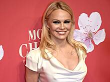 53-летняя Андерсон закрутила роман с телохранителем