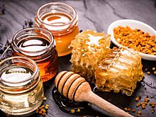 Генпрокуратура поручила проверить бизнес-леди из-за слишком большого объема меда из Саратовской области