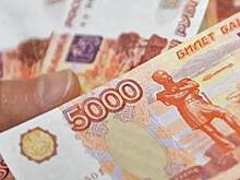 Во Владимирской области аферист получил 300 тысяч рублей от государства на развитие бизнеса