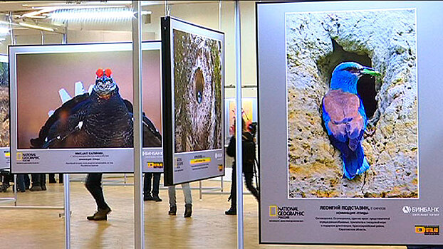 В Москве проходит фотовыставка «Дикая природа России»