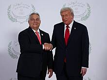 В Европе занервничали перед встречей Трампа и Орбана