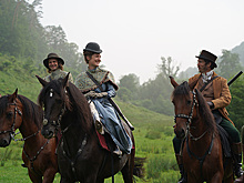 Что смотреть в кино