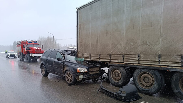Легковушка влетела под фуру на костромской трассе