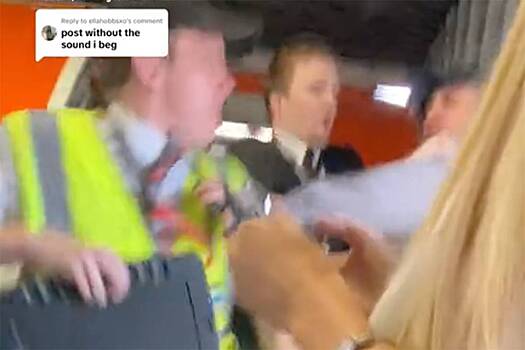 Пассажир оскорбил сотрудника авиакомпании, был избит и попал на видео