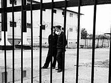 Бизнесмен подставил своих адвокатов под статью