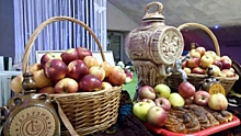 В Костроме состоялся грандиозный праздник яблок