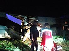 Дзюдоист Ендовицкий во второй раз подряд стал победителем чемпионата России