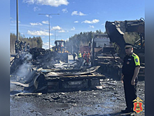 Полиция установила, что одной из причин ДТП на трассе в Тверской области мог стать разрыв колеса у фуры
