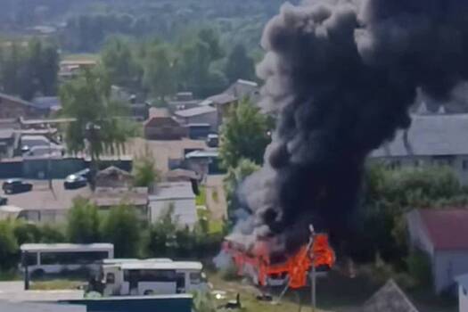В Подмосковье загорелись несколько автобусов и попали на видео